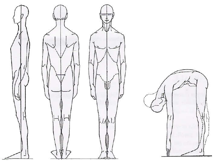 analisi-posturale2